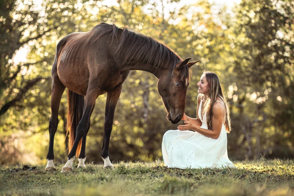 séance photo cheval périgueux